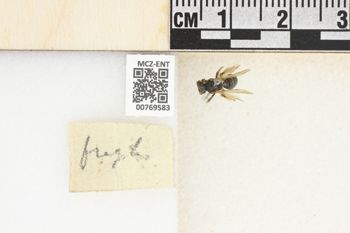 Media type: image;   Entomology 769583 Aspect: Labels